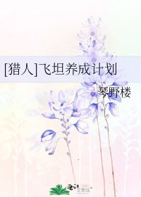 [猎人]飞坦养成计划