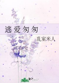 逃 爱 匆 匆